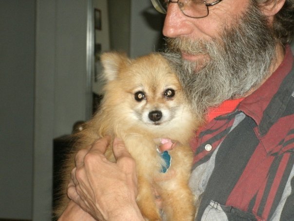 Lori Walden's album, my grandaughter dog.....