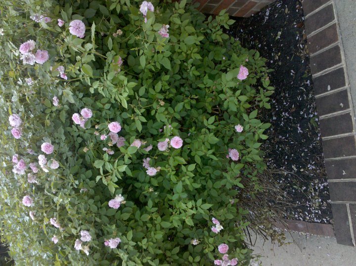 Philip Taylor's album, Timeline Photos