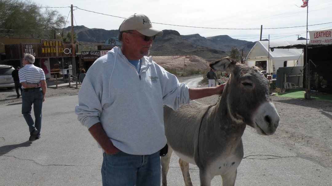 Mike Reed's album, Profile Pictures