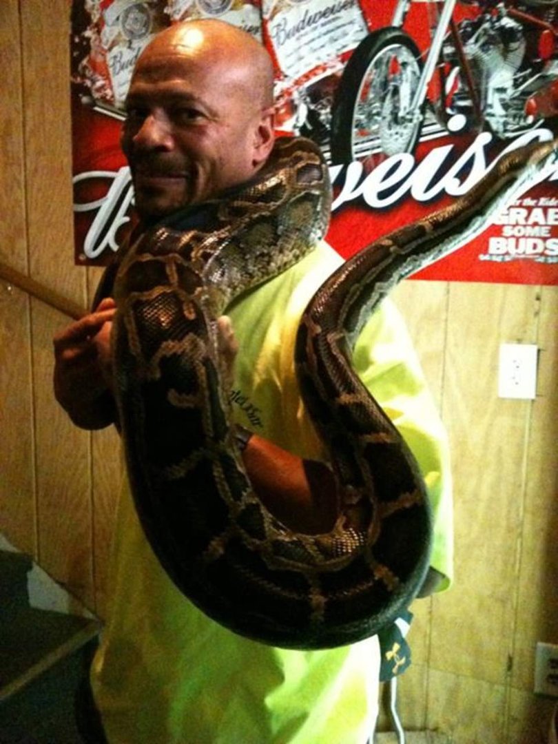 Debra Strang's album, Mobile Uploads