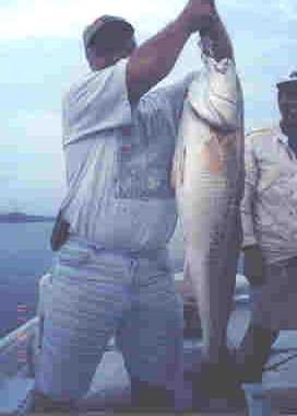 Gary Kangas' album, Profile Pictures