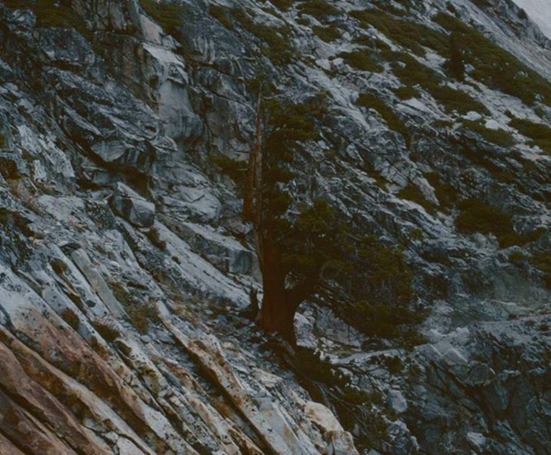 Daryl Strandlien's album, Backpacking