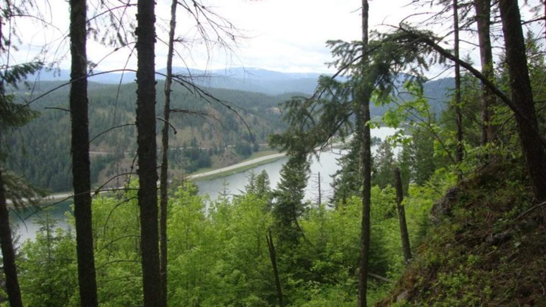 Pam Graham's album, Couer de' Alene trip June 2011