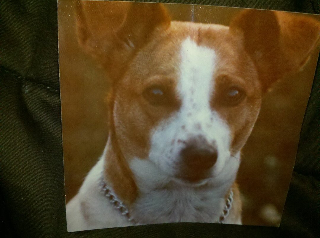 Steve Faber's album, Mobile Uploads