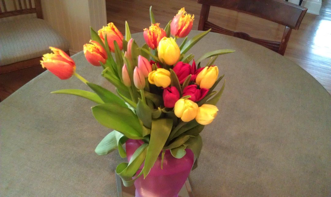 Susan Rather's album, Timeline Photos