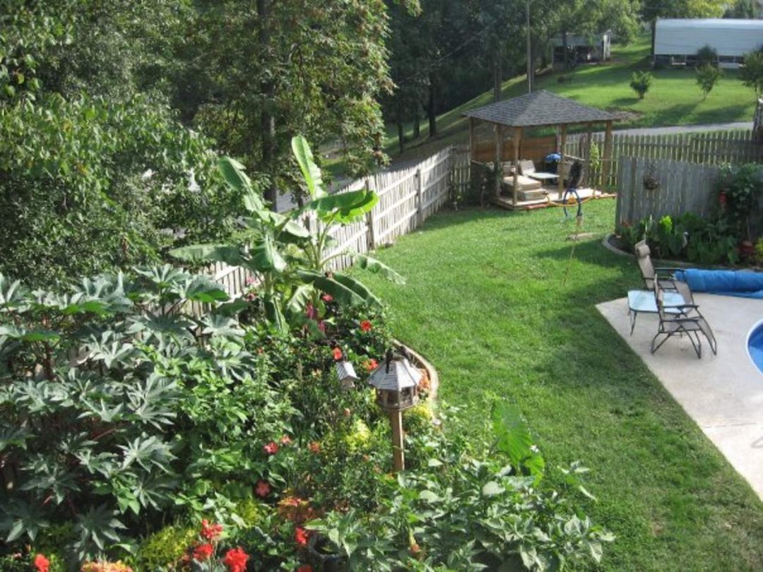 Sharon Moore's album, Missing My Garden