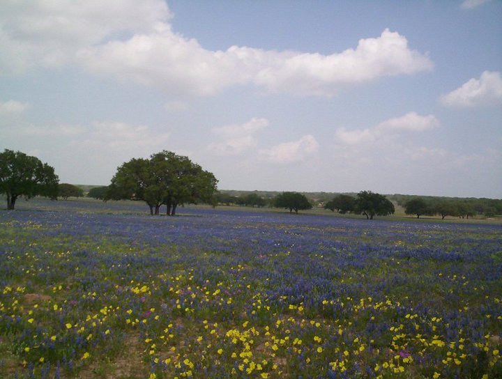 Sandy Shodeen's album, Our Little Lytle Farm