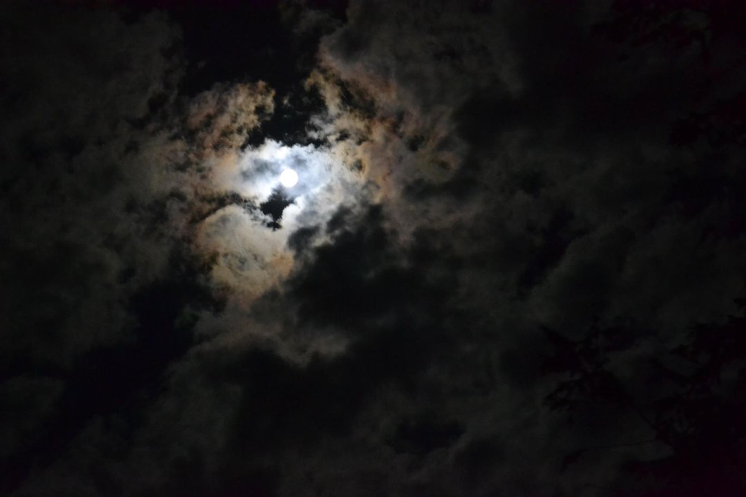 Cheryl Dittmann's album, Cover Photos
