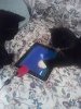 Shelly Masters' album, Mobile Uploads