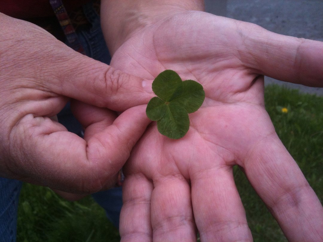 Brigitte Noonan's album, Timeline Photos