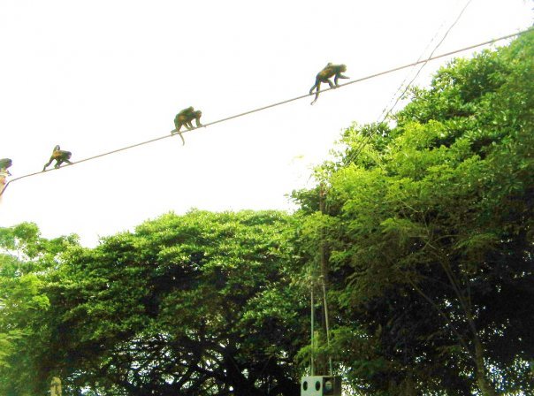 Kevin Walker's album, Costa Rica