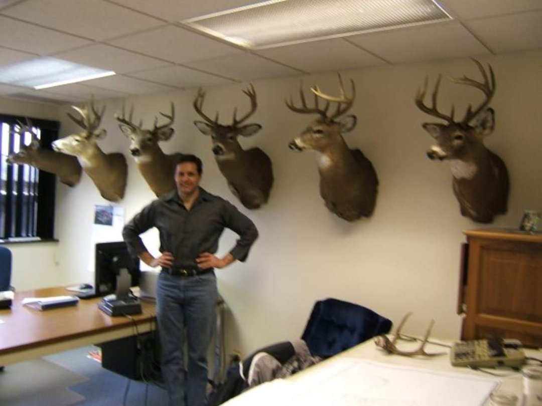 James Long's album, Profile Pictures