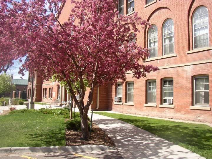 Amy Willcott's album, MSV in Spring
