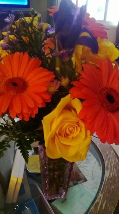 Debbie Groda's album, Mobile Uploads