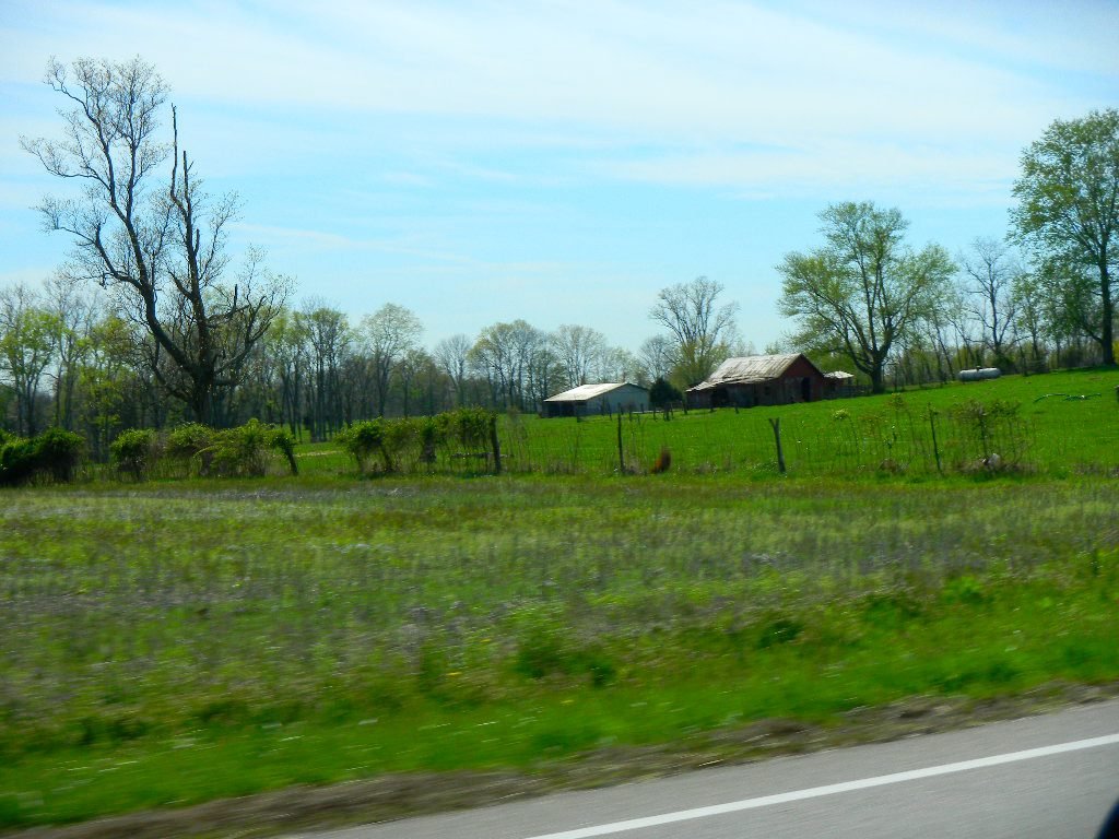 Sharon Lynch's album, Cover Photos