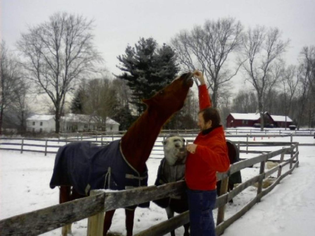 John O'donnell's album, winter at the barn 2