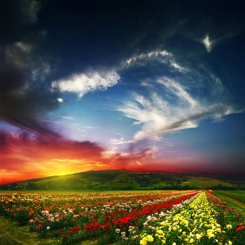 Sandi King's album, Cover Photos