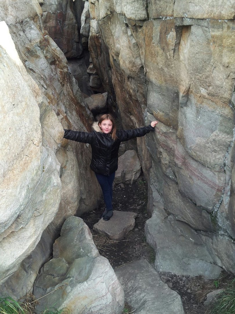 Sharon Varty's album, Mobile Uploads