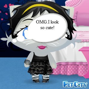 Debra Sheikh's album, Pet City Photos