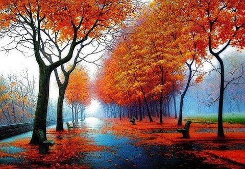 Pam Murphy-Campbell's album, Cover Photos
