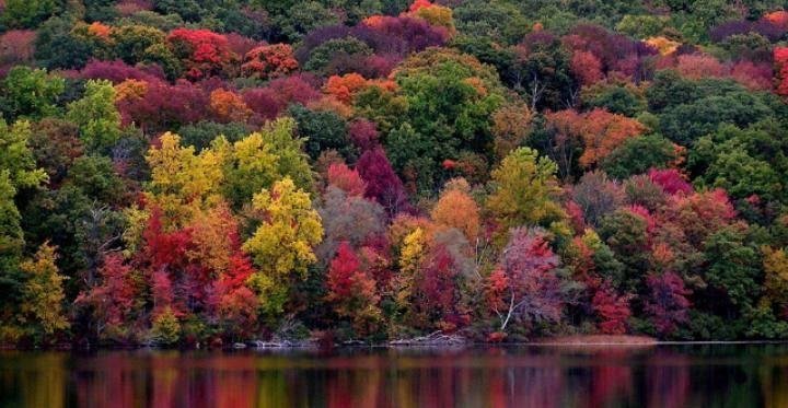 Pam Huss' album, Cover Photos