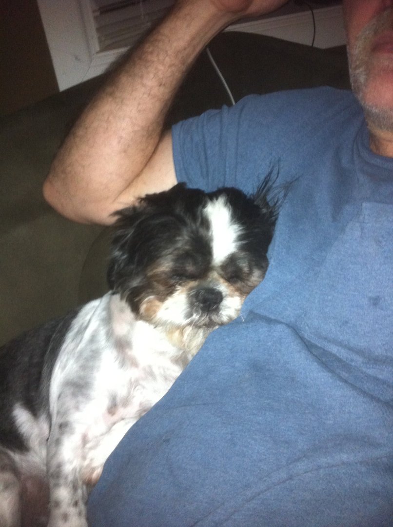 Steve Urbanski's album, Mobile Uploads