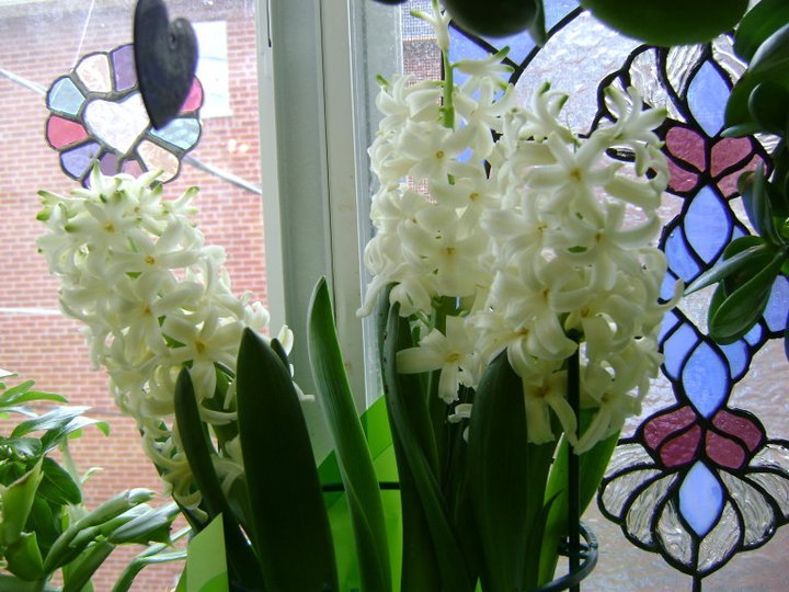 Cathy Hiles' album, Cover Photos