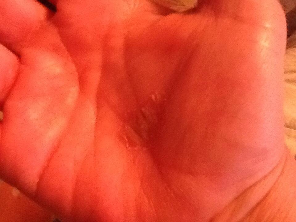 Carol Bechter's album, iOS Photos
