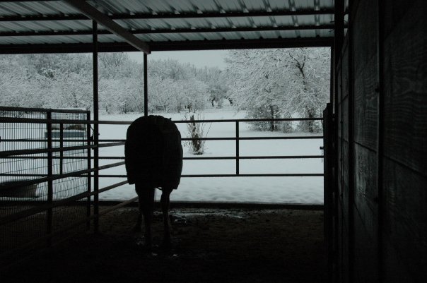 Jane Adams' album, Snowy Day 1-11-10