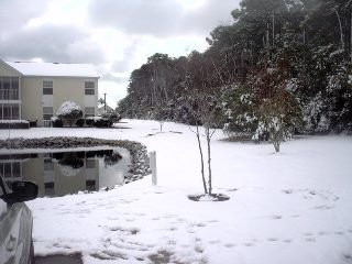 Joe Thomas' album, Myrtle Beach Snow