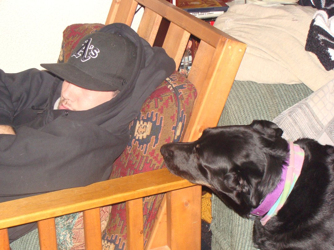 Mike Lewis' album, December 23, 2010