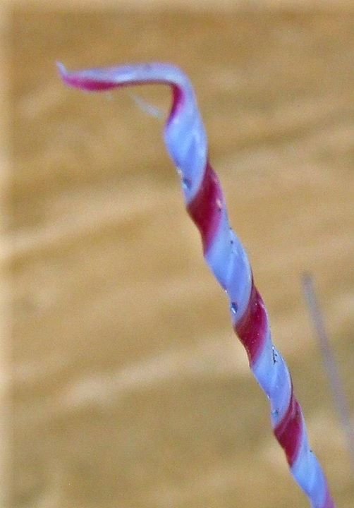 Deborah Pasarow's album, Lampworking Session