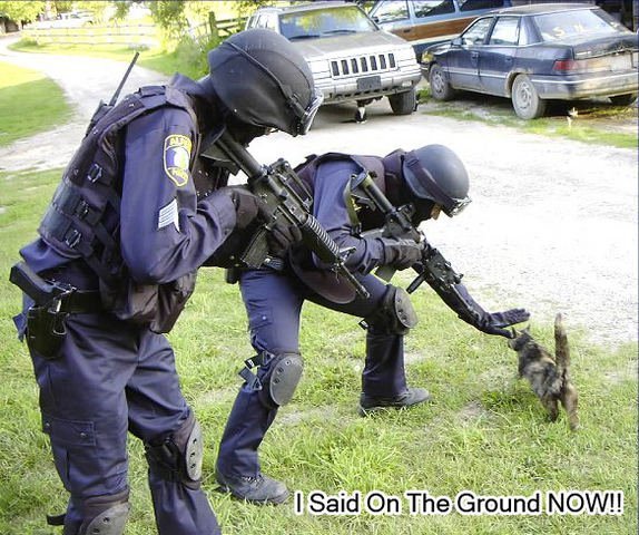 Chris Hawk's album, funny pics