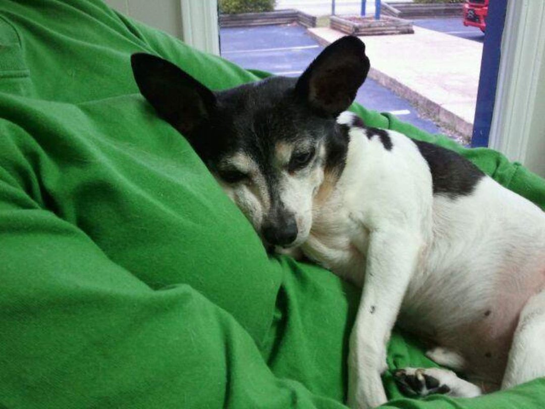 Brenda Cannington's album, Buster Lee Cannington