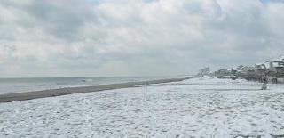 Joe Thomas' album, Myrtle Beach Snow