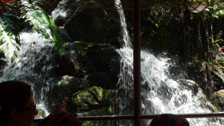 Darrell Burton's album, DisneyWorld 2010