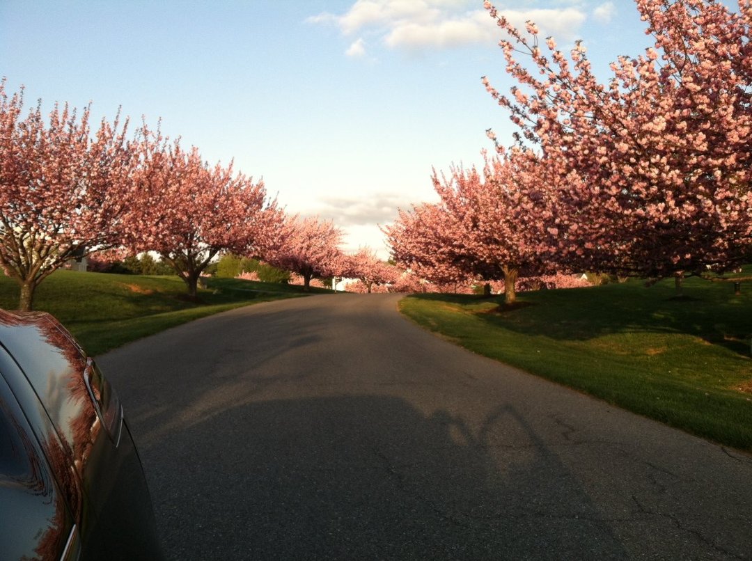 Mike Furman's album, Timeline Photos