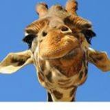 Donna Maxwell's album, Timeline Photos