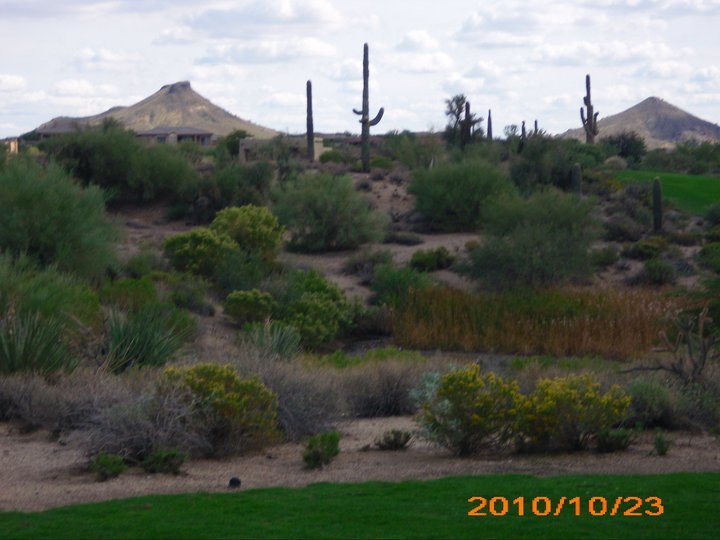 Sherrie Lambaren's album, October 30, 2010