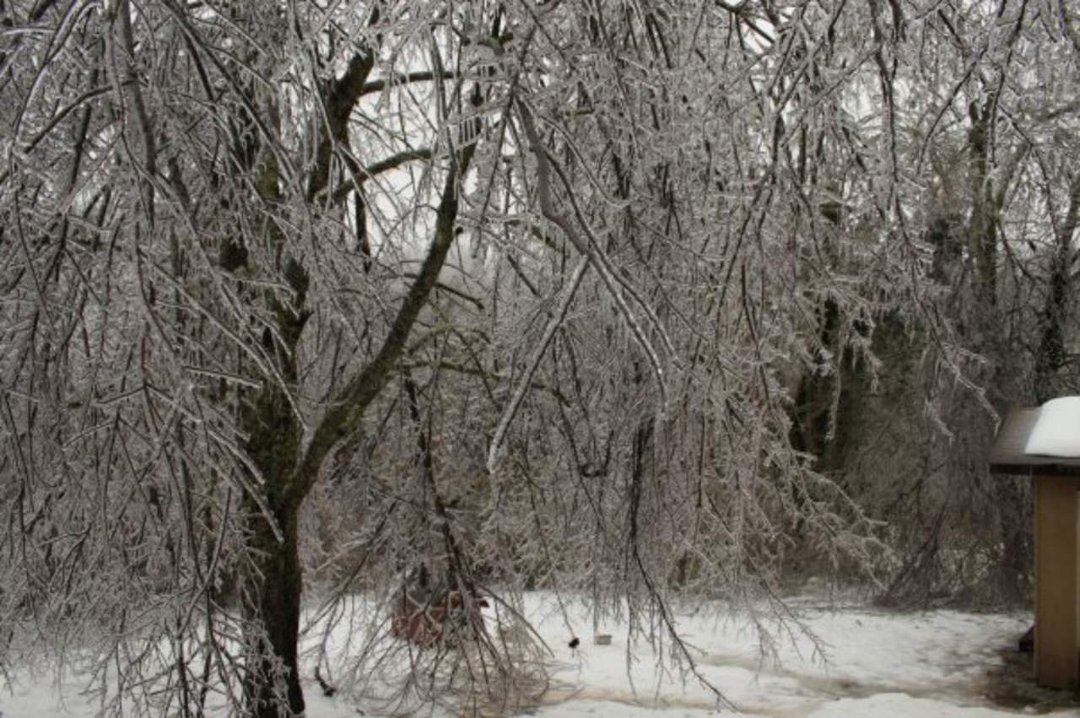 James Wicker's album, Christmas Ice Storm 2009