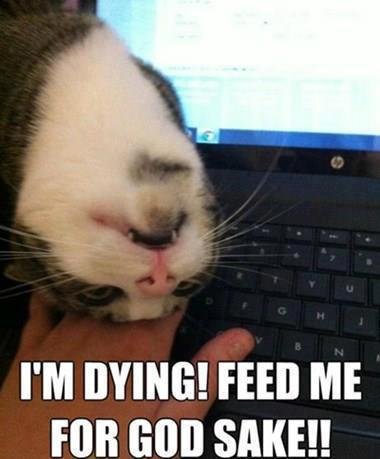 Connie Borror's album, Timeline Photos