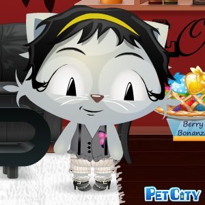 Debra Sheikh's album, Pet City Photos