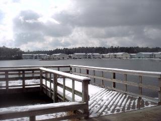 Joe Thomas' album, Myrtle Beach Snow