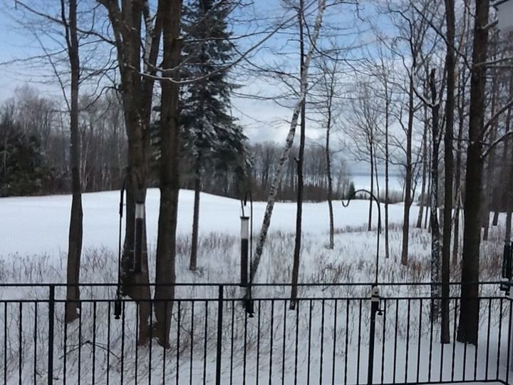 Paul Knapp's album, Our Michigan Home