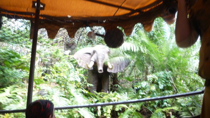 Darrell Burton's album, DisneyWorld 2010