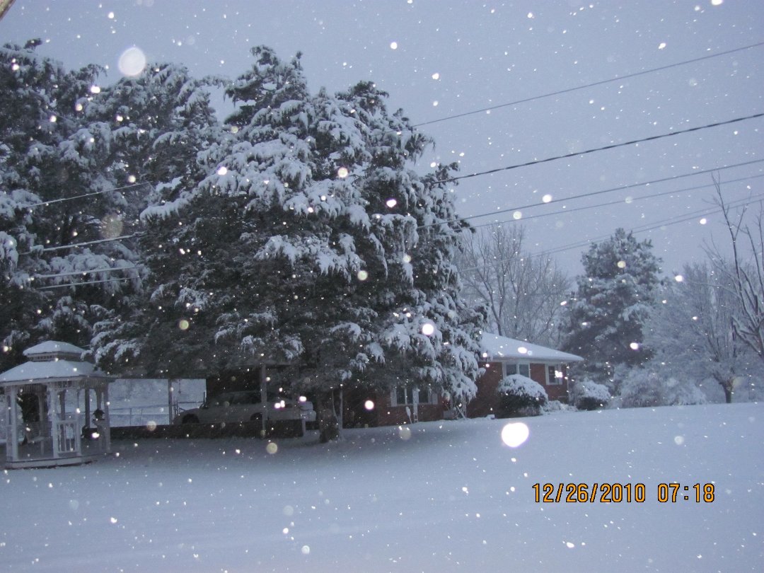 Donna Austin's album, Christmas snow in North Carolina 2010