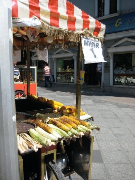 Barbara Waltman's album, ISTANBUL