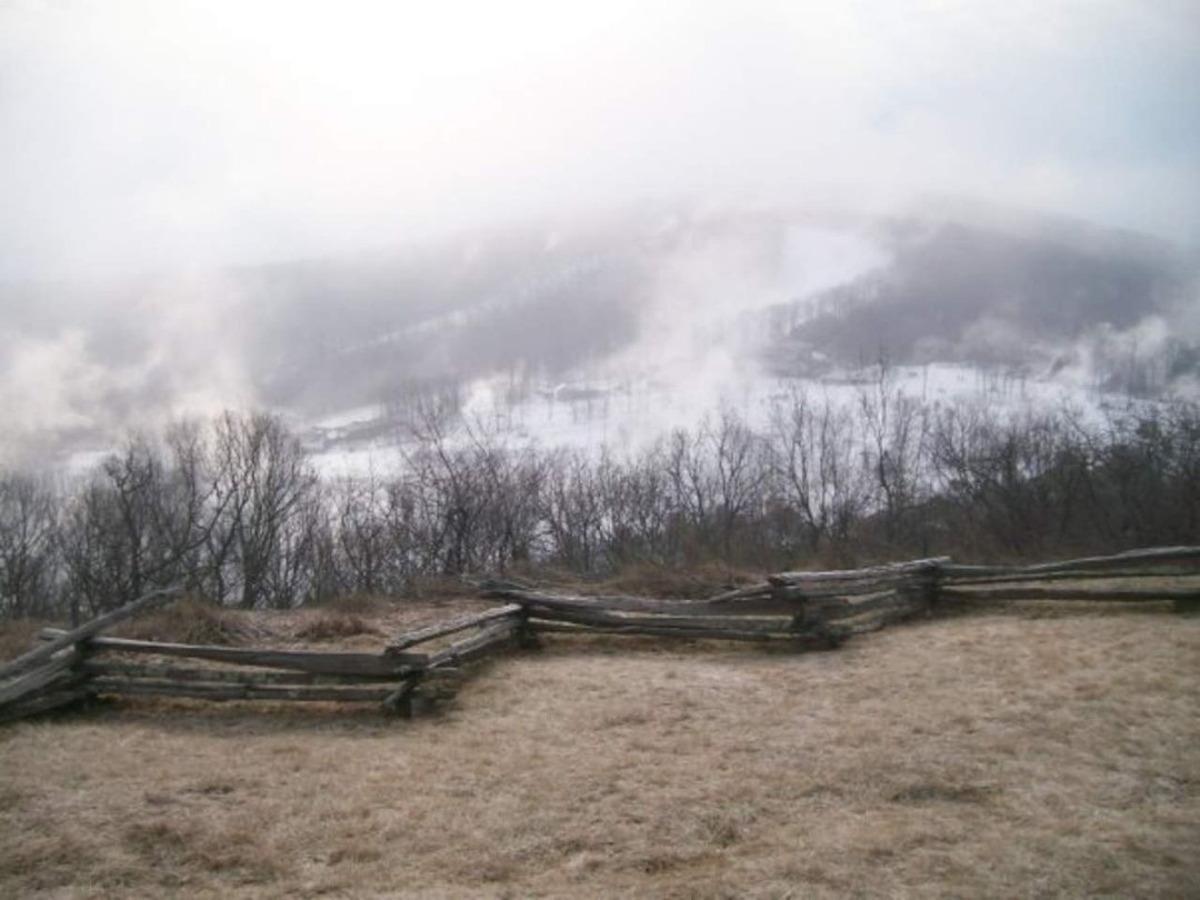Julia Gallagher's album, Wintergreen pix