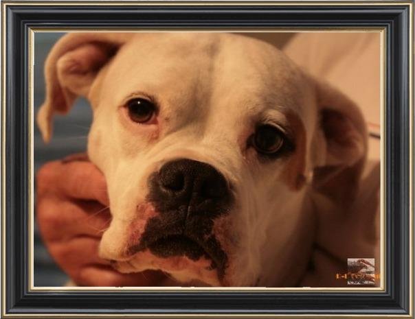 Shannon Carter's album, Photo of the Day Photos