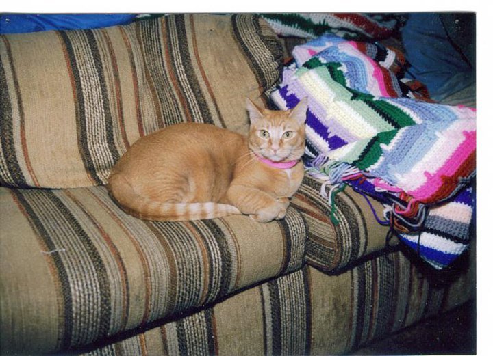 Robert Miller's album, My Photos